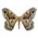 Mariposa